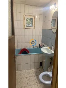 Apartament 3 camere Eremia Grigorescu, parter/4 - foto 5