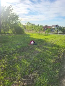 Teren 5600 mp Snagov Lac - foto 4