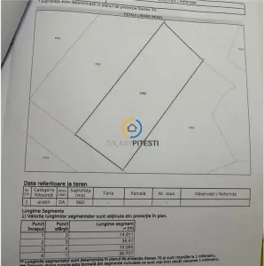 Teren Bradu 560 mp, str. Buna Vestire, plan - Bradu