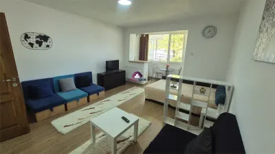 Garsoniera de inchiriat, Costin Georgian –  – Marian - foto 8
