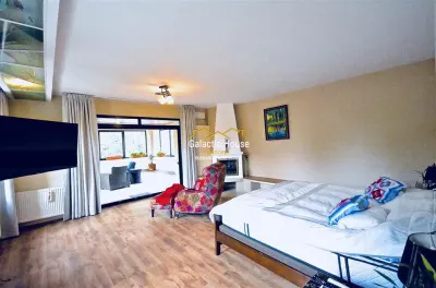 CASA EXCLUSIVISTA IANCU NICOLAE- PIPERA  VEDERE PADURE TEREN 1500 MP - foto 7