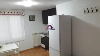 Apartament de inchiriat - foto 12