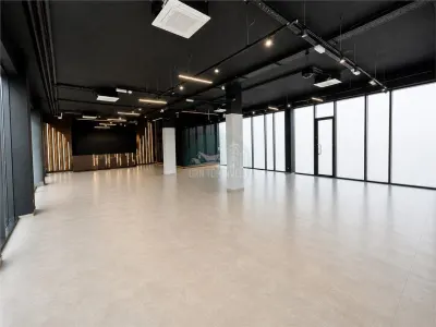 Spatiu comercial 180mp cu terasa de 75mp  zona Doamna Stanca - foto 8