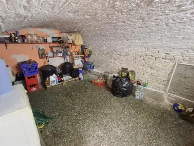 Casa formata din 2 apartamente pivnita zona Turnisor - foto 12