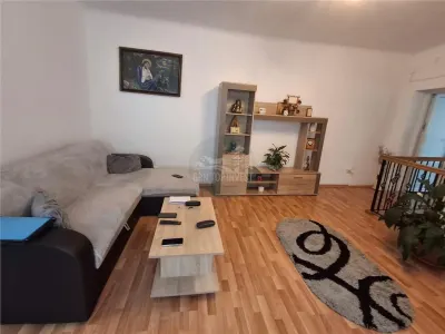 Casa formata din 2 apartamente pivnita zona Turnisor - foto 13