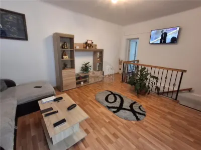 Casa formata din 2 apartamente pivnita zona Turnisor - foto 21
