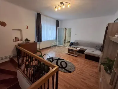Casa formata din 2 apartamente pivnita zona Turnisor - foto 25
