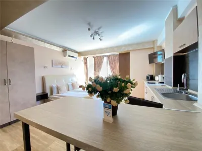 Hotel 4 studiouri 4 camere duble parcare zona Centrala - foto 12