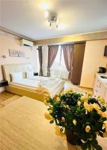 Hotel 4 studiouri 4 camere duble parcare zona Centrala - foto 21
