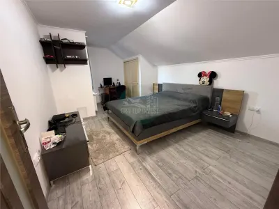 Casa individuala 5 camere 2 bai zona Terezian - foto 7