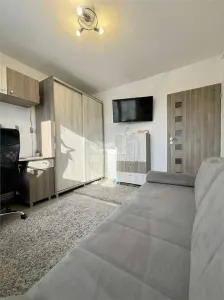 Apartament 2 camere decomandat balcon si pivnita Terezian - foto 3