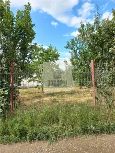 Teren cu pomi fructiferi in zona Turnu-Rosu - foto 3