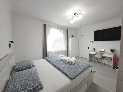 Studio curte proprie 150 mp la casa zona Centrala - foto 5
