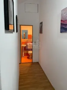 Apartament cu 4 camere 2 bai zona Vasile Aaron - foto 11