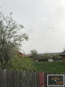 Horpaz, 560 mp teren, asfalt - foto 3