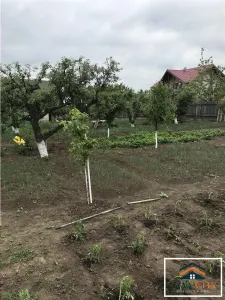 Teren Aleea Strugurilor, 2 parcele 842 mp, 540 mp - Iasi