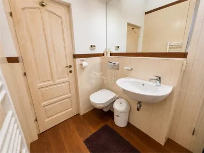 Penthouse 200mp 3 camere 2 bai dressing terasa Parcul Sub Arini - foto 22