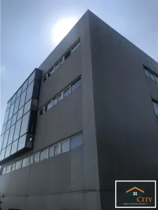 Imobil, D+P+2E, zona Popas Pacurari, spatiu productie / Birouri - foto 2