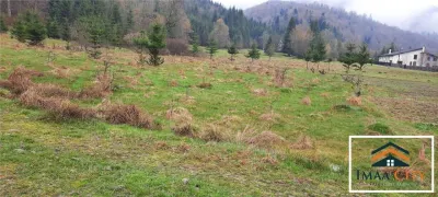Garsoniera 30 mp, Podul de Piatra - foto 6