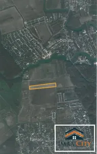 Teren vanzare, 64395 mp, Tamasi, Ostratu - foto 11