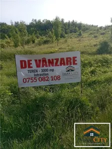 Terenuri intravilane\ extravilane Husi - foto 6