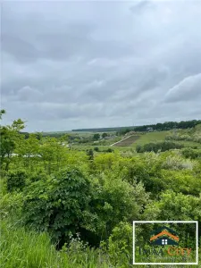 Terenuri intravilane\ extravilane Husi - foto 7