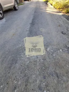 Teren Intravilan cu utilitati si proiect casa Bungard - foto 5