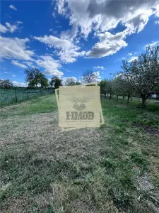 Casa individuala 120mp | anexe | teren 1300mp | Miercurea Sibiului - foto 14