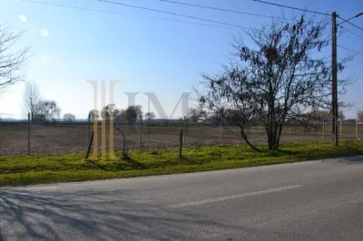 Vanzare Teren intravilan, 5600 mp in Mircea Voda - Dambovita. - foto 2