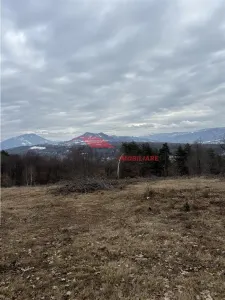 Teren cu 2 izvoare,  Prundul Bargaului - Prundu Bargaului