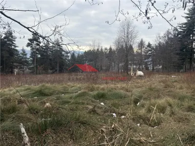 Teren cu 2 izvoare,  Prundul Bargaului - foto 6