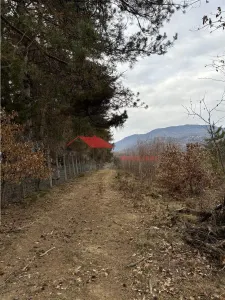 Teren cu 2 izvoare,  Prundul Bargaului - foto 9
