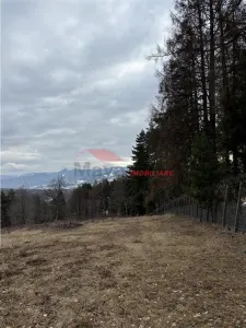 Teren cu 2 izvoare,  Prundul Bargaului - foto 10