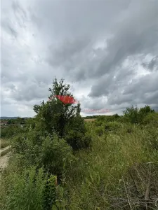 Teren extravilan 60 ari, Sigmir - foto 6