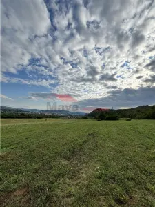 Teren pt cabana 35,5 ari, Beclenut - foto 2