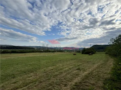 Teren pt cabana 35,5 ari, Beclenut - foto 8
