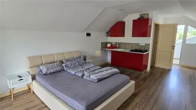 CASĂ DE VACANȚĂ ȘI PROPRIETATE TURISTICĂ ÎN DORNA ARINI  LÂNGĂ VATRA DORNEI COMISION 0 - foto 16