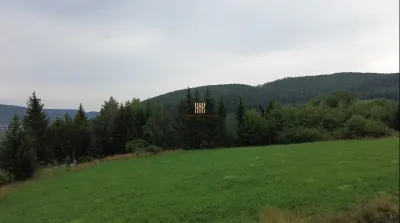 TEREN PREMIUM 5.023 MP ÎN VORONEȚ | BUCOVINA | ZONA MĂNĂSTIRII VORONEȚ | INVESTIȚIE SAU REZIDENȚIAL PRIVELIȘTE | CURENT TRIFAZAT | APĂ | CANALIZARE | - foto 12