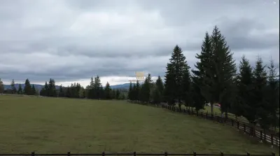 Teren 2804 mp, la munte! In Bucovina – Fundu Moldovei! - foto 21