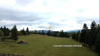 Teren 2804 mp, la munte! In Bucovina – Fundu Moldovei! - foto 4