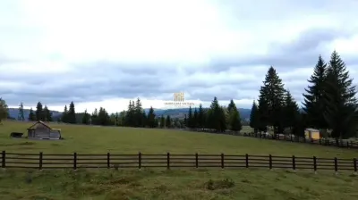 Teren 2804 mp, la munte! In Bucovina – Fundu Moldovei! - foto 7