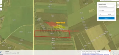 Reteag - Vanzare Terenuri + Padure - foto 3