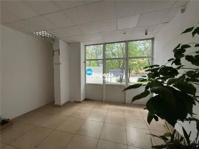 Spatiu de inchiriat,48 mp,stradal,sos Nicolina - foto 2