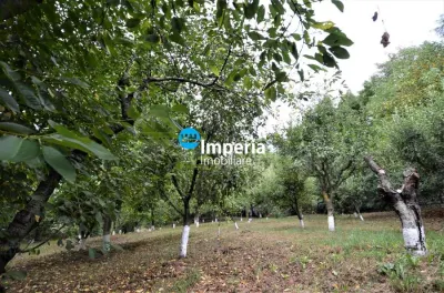 Casa de vanzare in Iasi, zona Tomesti - foto 15