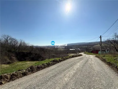 Loturi teren intravilan,sat Goruni - com.Tomesti,de vanzare. - Goruni