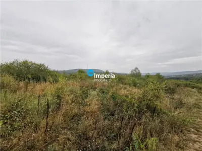 Teren intravilan de vanzare Visan 6380 mp - foto 6