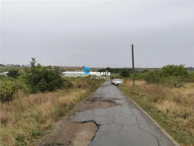 Teren intravilan de vanzare Visan 6380 mp - foto 8