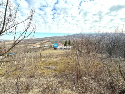 Teren intravilan 4800 mp, investitie,  utilitati complete, Dancas Miroslava - foto 3