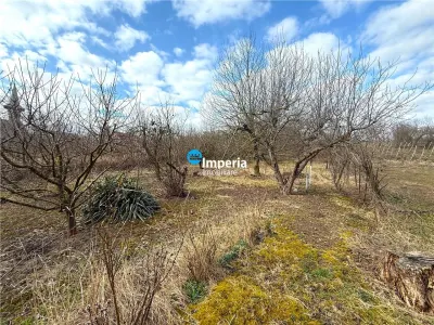 Teren intravilan 4800 mp, investitie,  utilitati complete, Dancas Miroslava - foto 6
