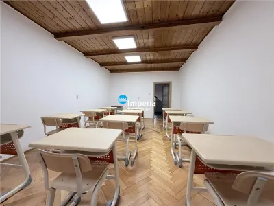 Birouri de inchiriat Copou Sararie - foto 2